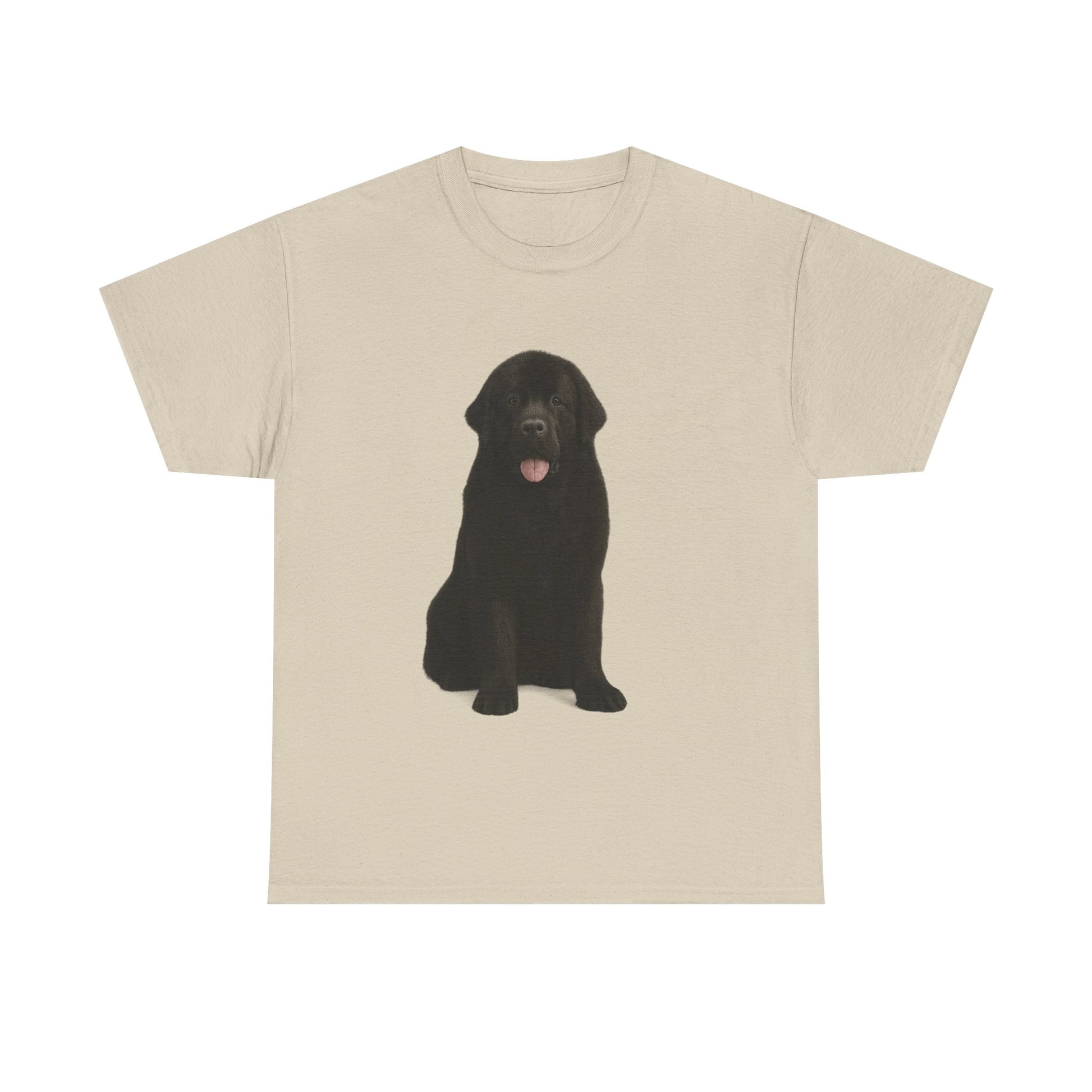 Newfoundland cool T-Shirt