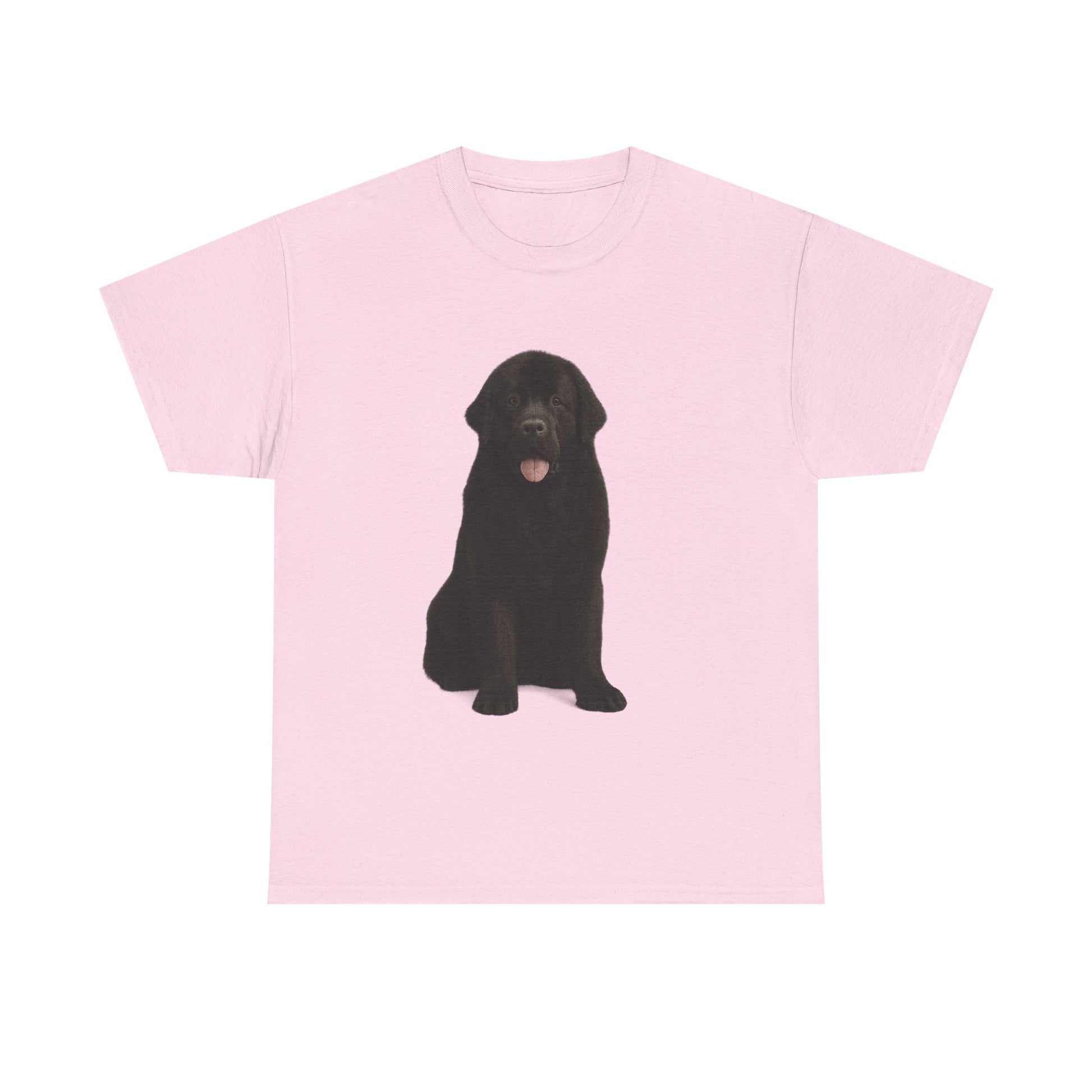 Newfoundland cool T-Shirt