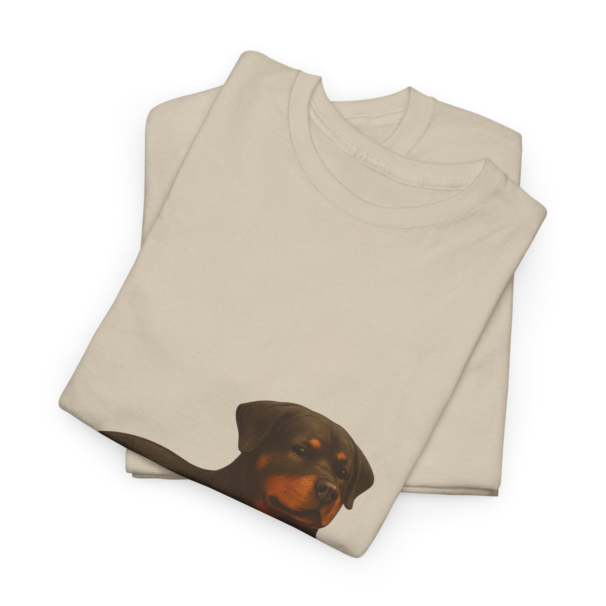 Rottweiler sitting cool T-Shirt