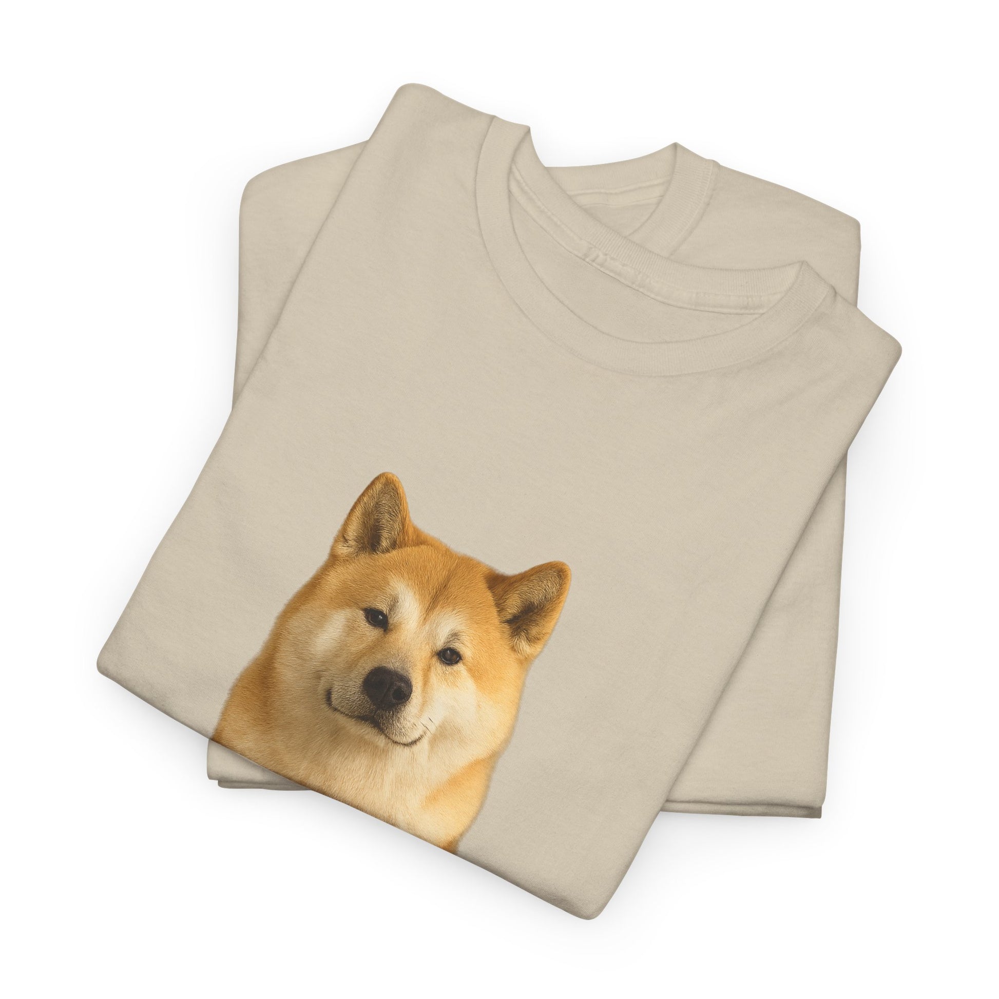 Akita cool T-Shirt