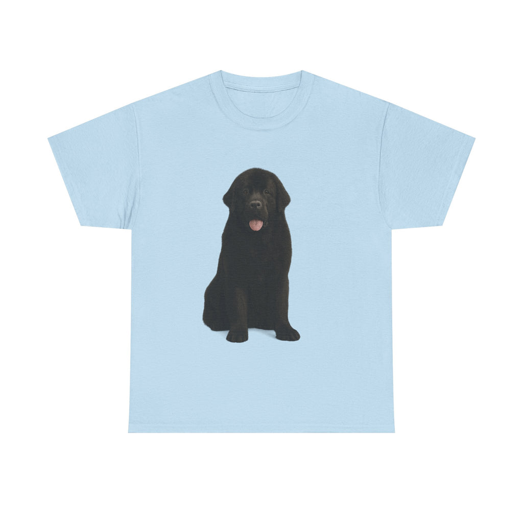 Newfoundland cool T-Shirt