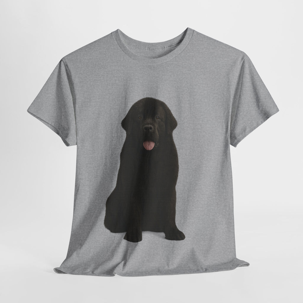 Newfoundland cool T-Shirt