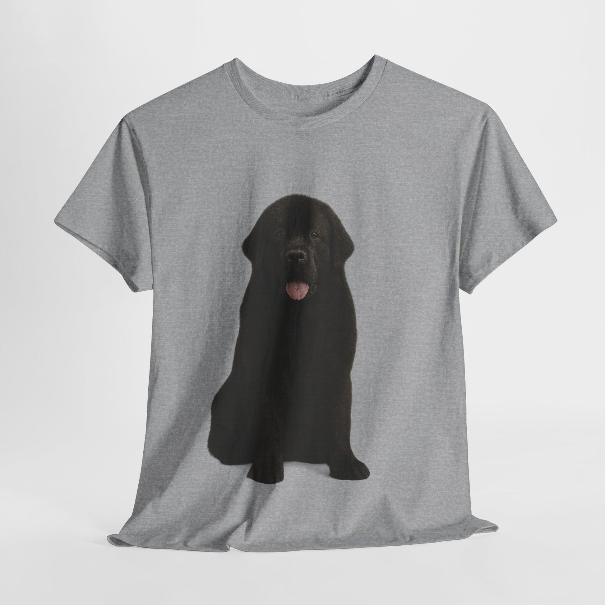 Newfoundland cool T-Shirt