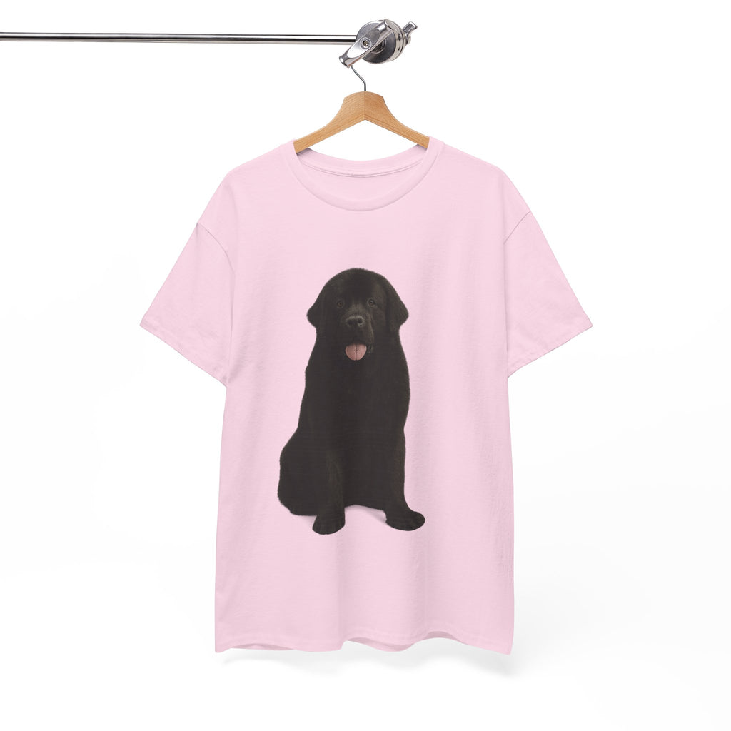 Newfoundland cool T-Shirt