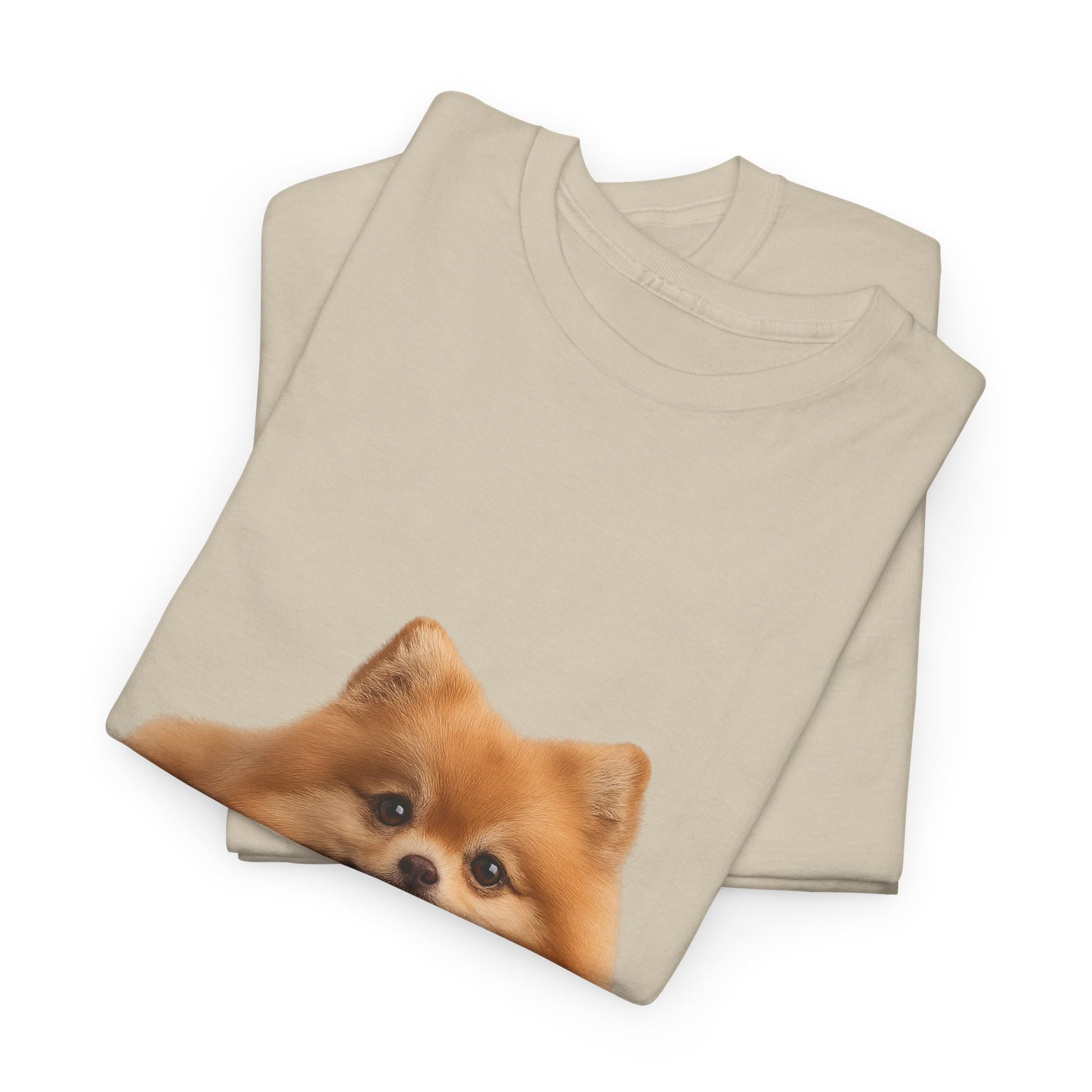 Pomeranian cool T-Shirt
