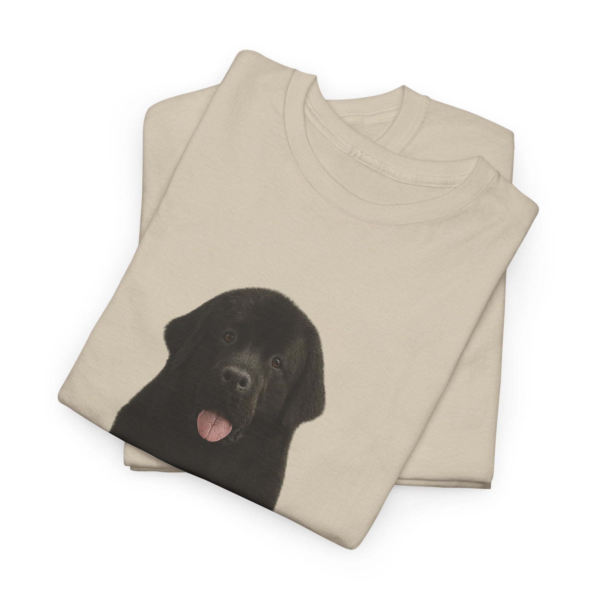 Newfoundland cool T-Shirt